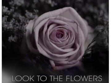 MV5BMTU2ODkzZWUtNzNlOS00YzY1LWJhMWUtOTQ3MjM2N2QzZTJmXkEyXkFqcGc@._V1_